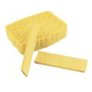 Sponge - 4CR - 6620.0001